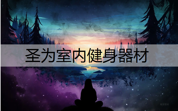 圣为室内健身器材