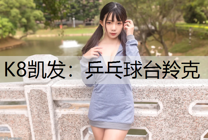K8凯发：乒乓球台羚克