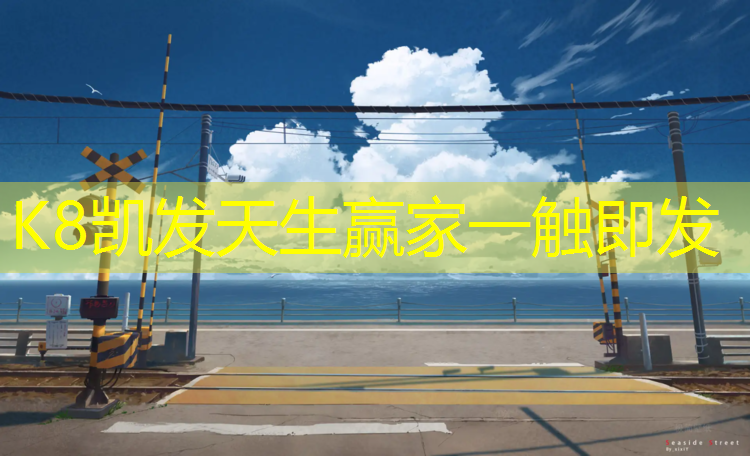 K8凯发：涪陵预制型塑胶跑道