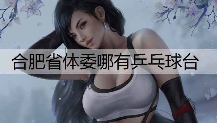 合肥省体委哪有乒乓球台