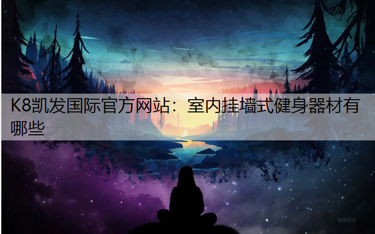 室内挂墙式健身器材有哪些