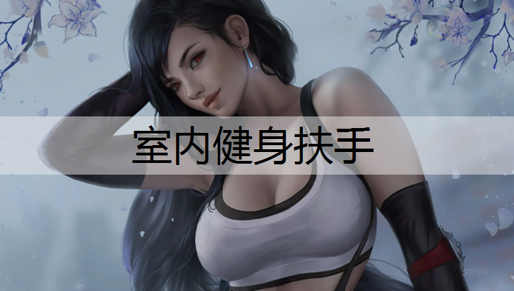 室内健身扶手