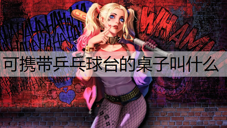 可携带乒乓球台的桌子叫什么