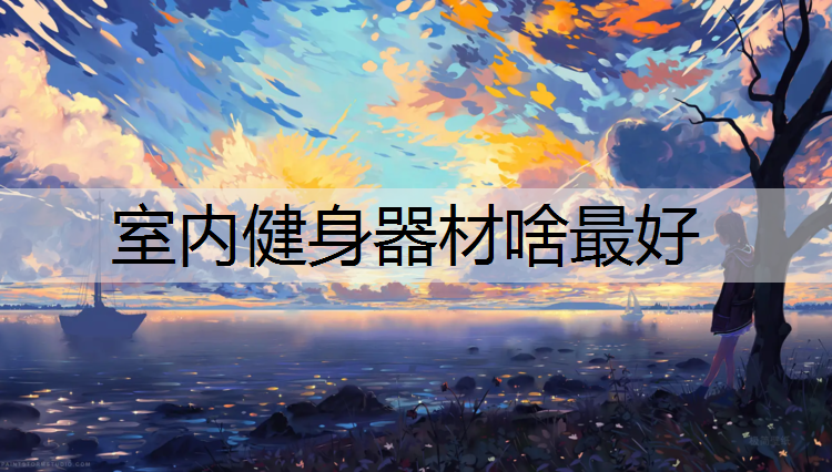 室内健身器材啥最好