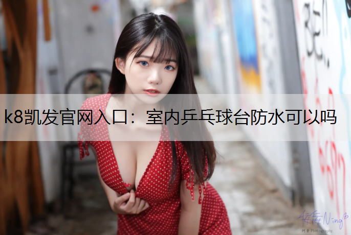 室内乒乓球台防水可以吗
