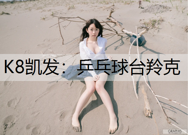 乒乓球台羚克