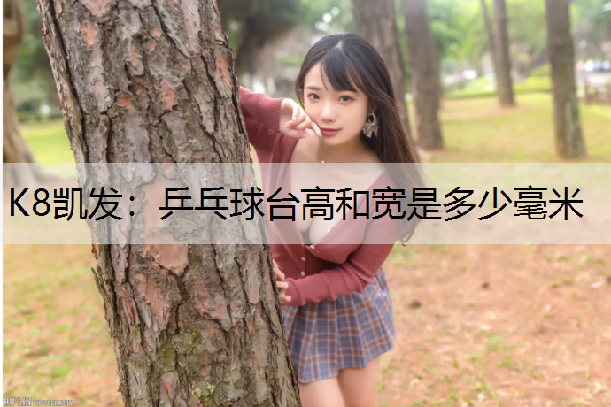 乒乓球台高和宽是多少毫米